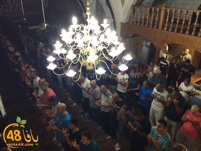 qader yaffa msajed (10).jpg